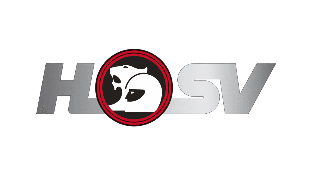 HSV